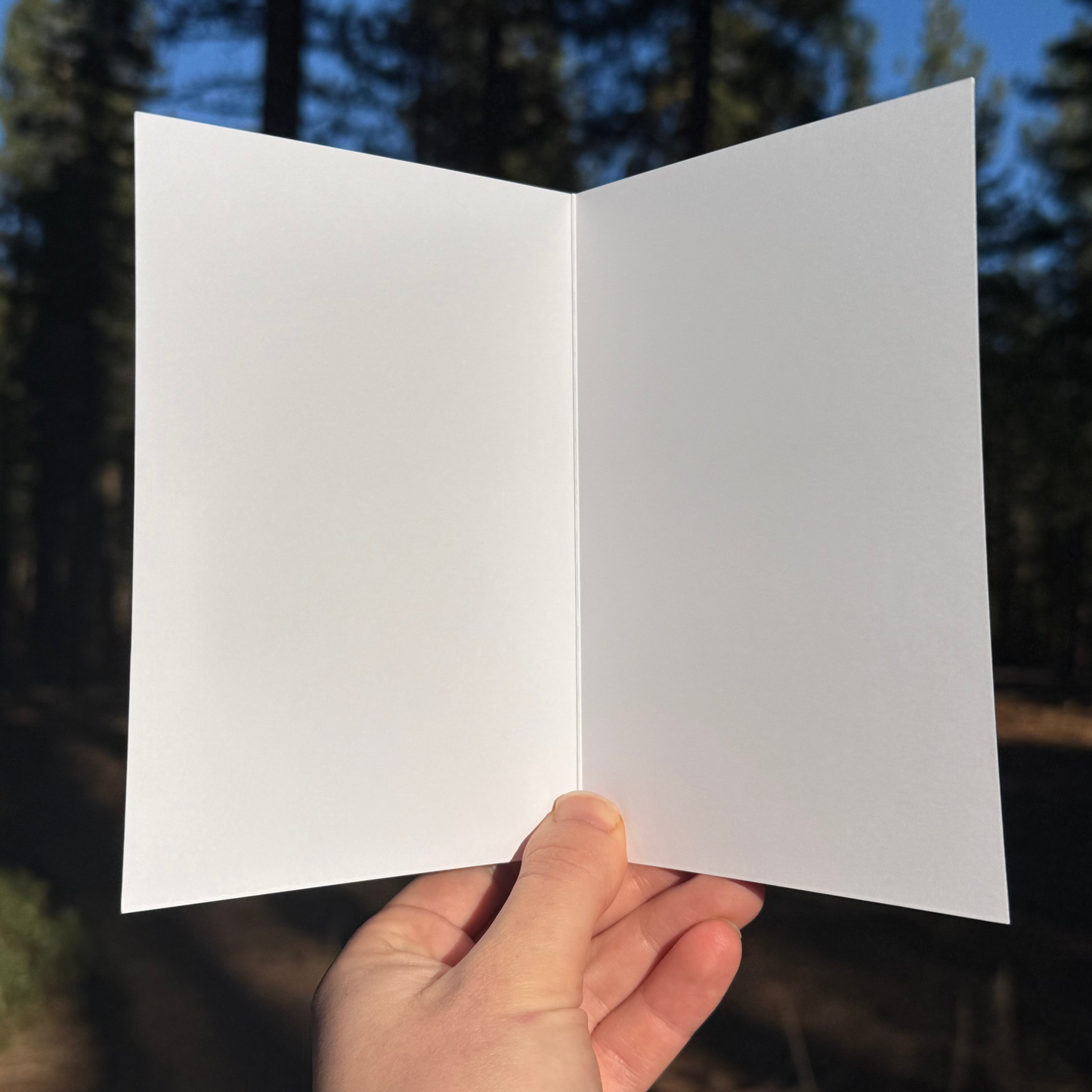 Happy F*ing Holidays Greeting Card (Sold individually, not cases)